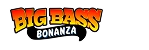 Logo play.game-bigbass.co.uk